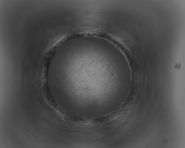 X0000096641399200802121059