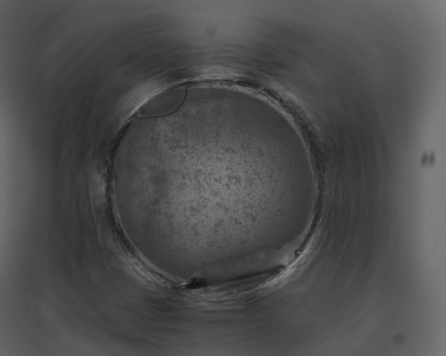 X0000096641401200802121059