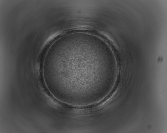 X0000096641402200802121059