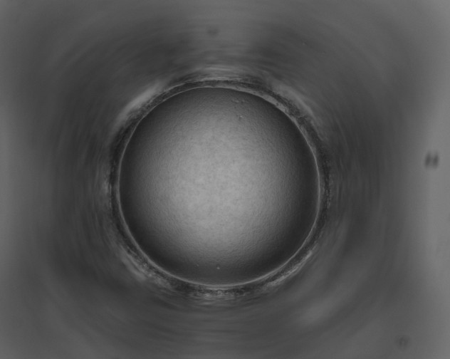 X0000096641403200802121059