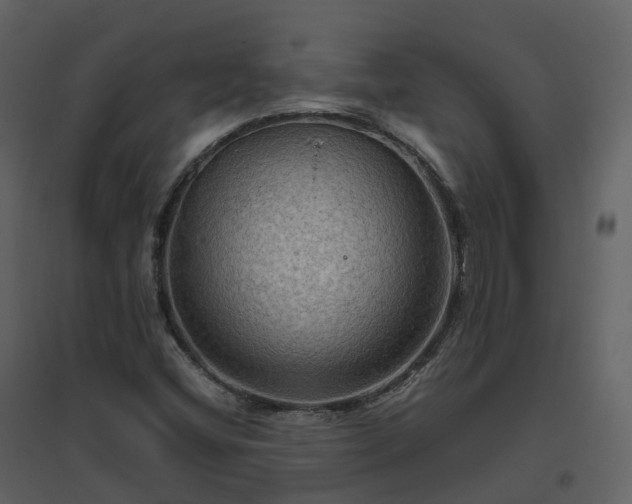 X0000096641404200802121059