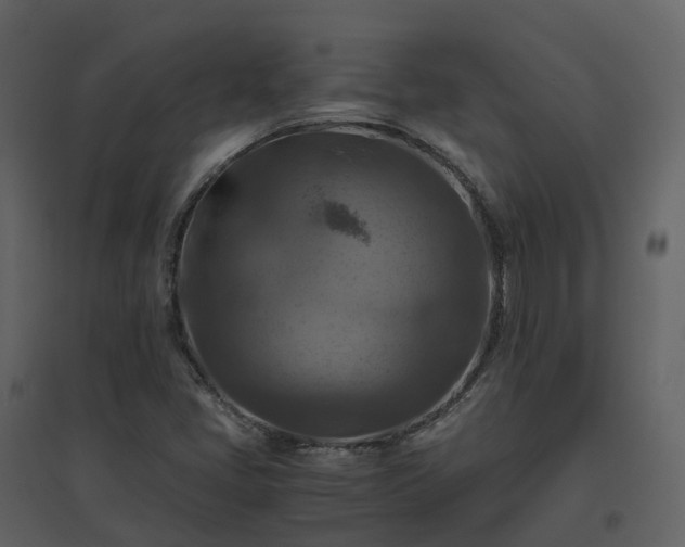 X0000096641405200802121059