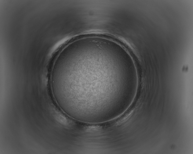 X0000096641406200802121059