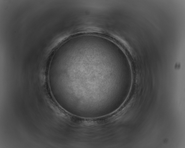 X0000096641407200802121059