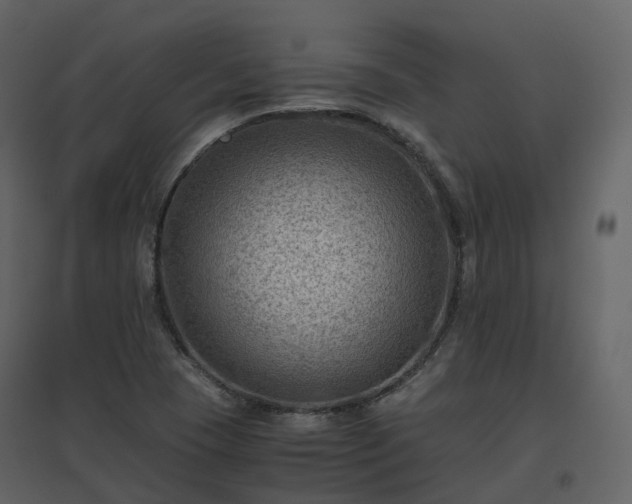 X0000096641409200802121059