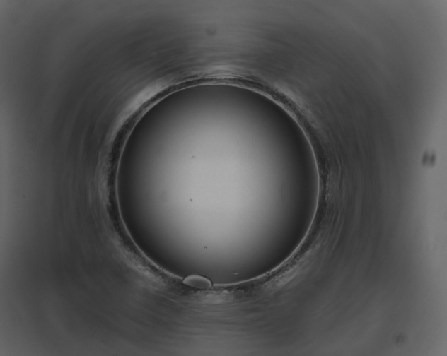 X0000096641410200802121059