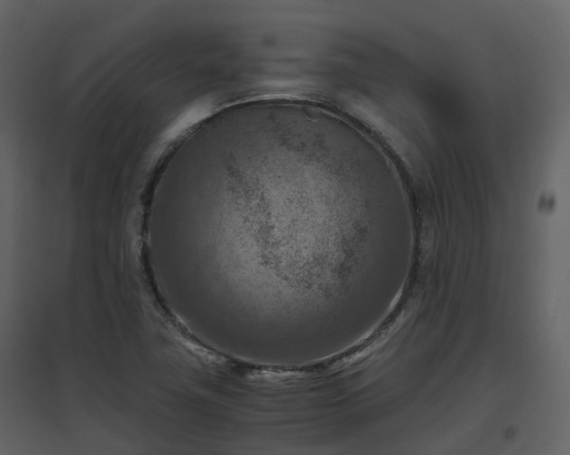 X0000096641411200802121059