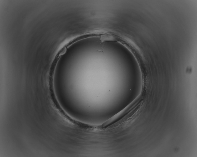 X0000096641412200802121059
