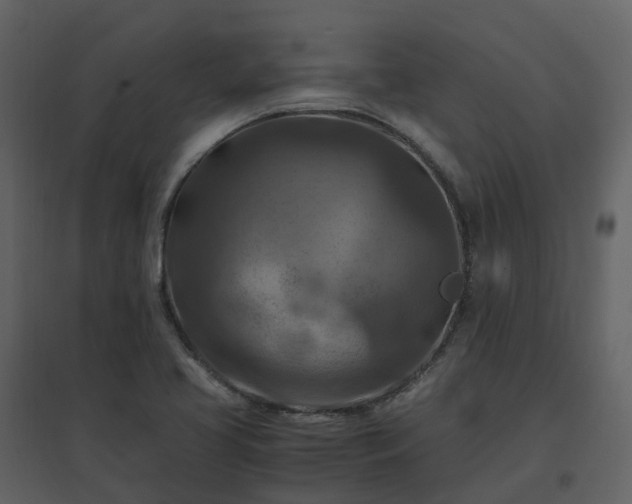 X0000096641413200802121059
