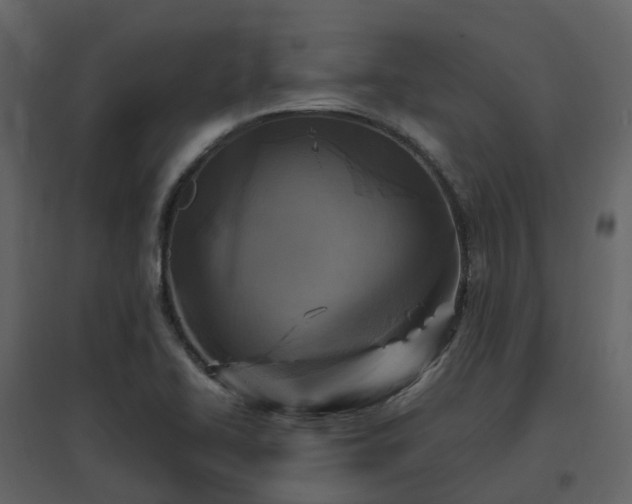 X0000096641414200802121059