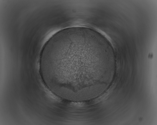 X0000096641415200802121059