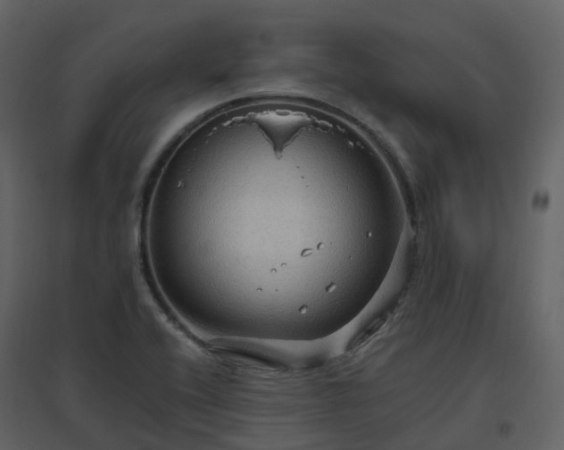 X0000096641416200802121059