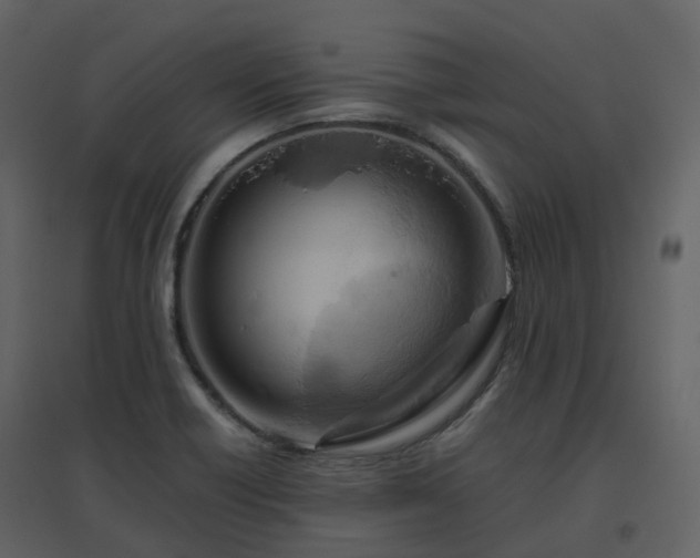 X0000096641418200802121059