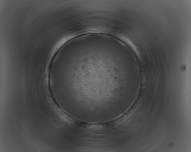 X0000096641419200802121059
