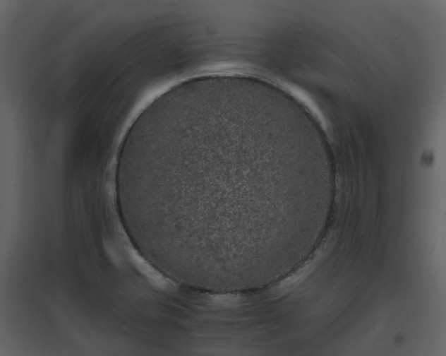 X0000096641421200802121059