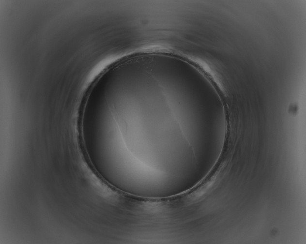 X0000096641422200802121059