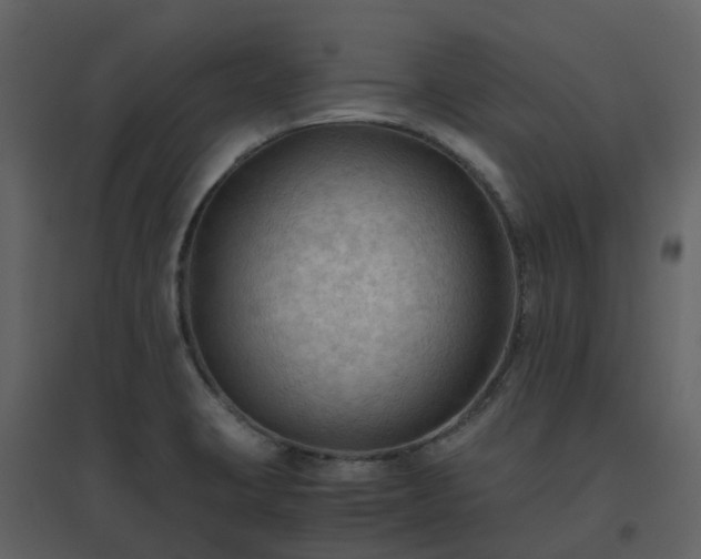 X0000096641423200802121059