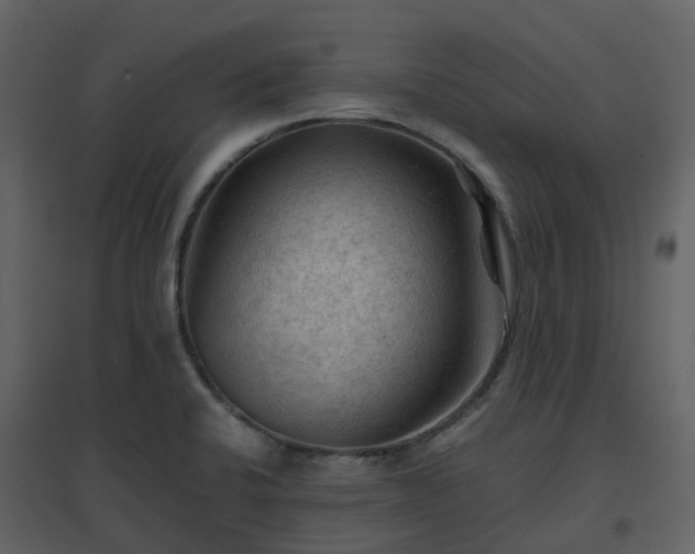 X0000096641424200802121059