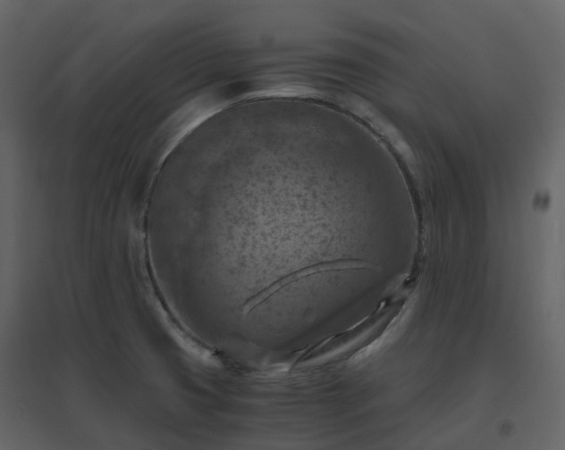 X0000096641425200802121059