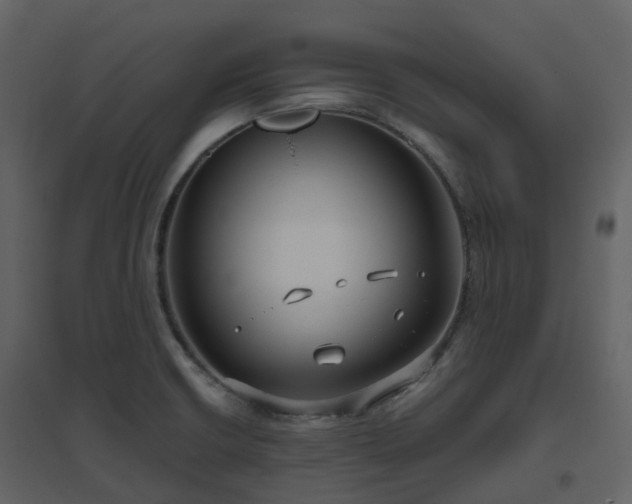 X0000096641426200802121059