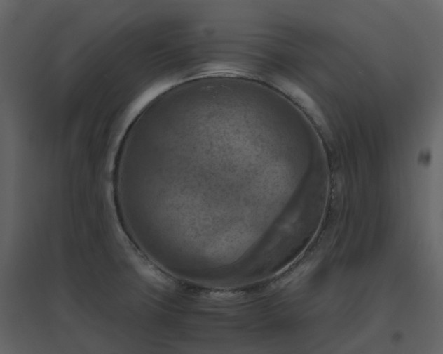 X0000096641427200802121059