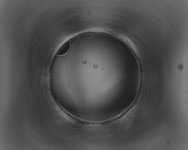 X0000096641428200802121059