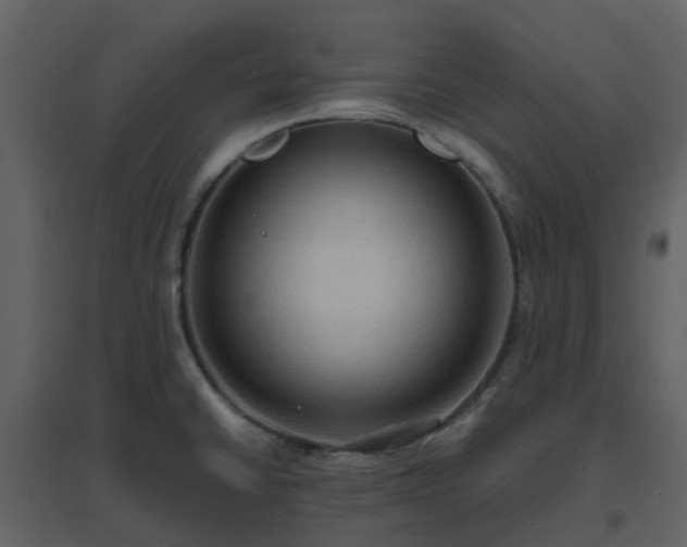 X0000096641430200802121100