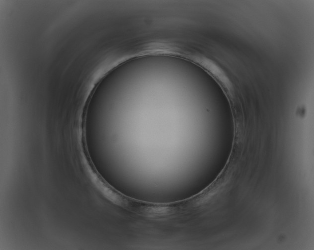 X0000096641431200802121100