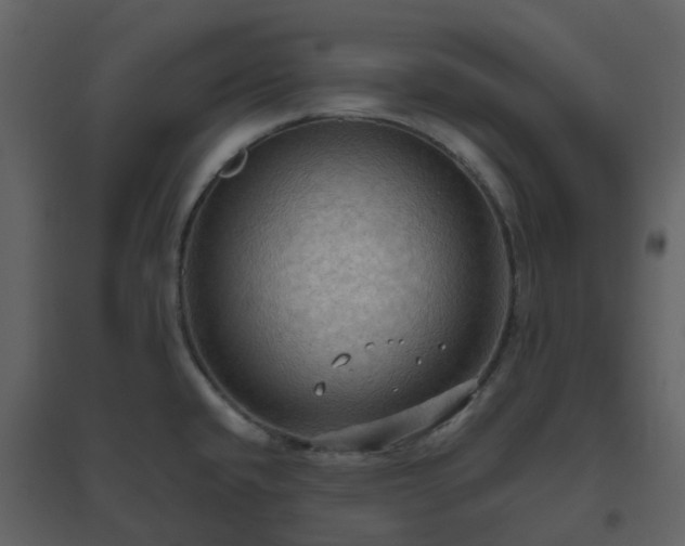X0000096641432200802121100