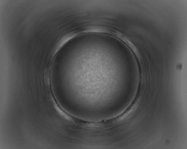 X0000096641433200802121100