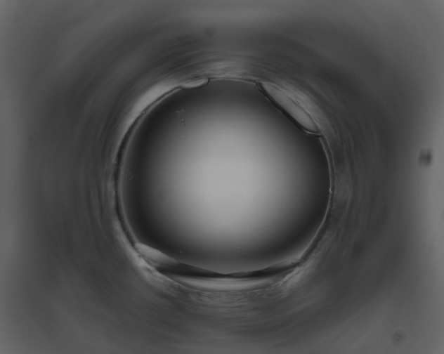 X0000096641434200802121100