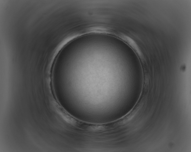 X0000096641435200802121100