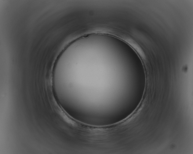 X0000096641436200802121100