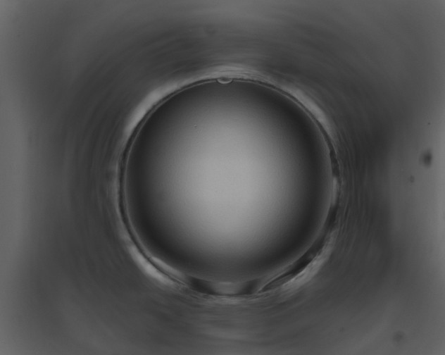 X0000096641438200802121100