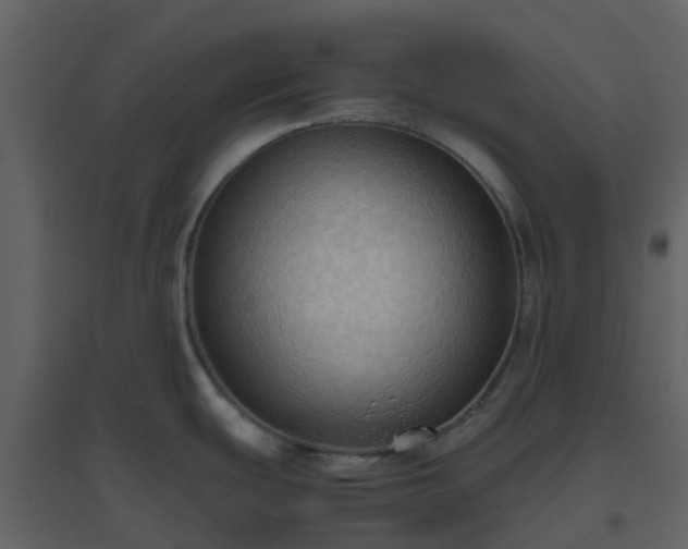 X0000096641439200802121100