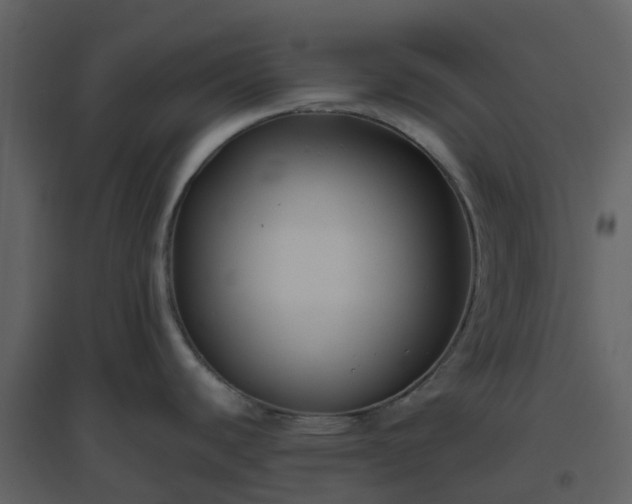 X0000096641440200802121100