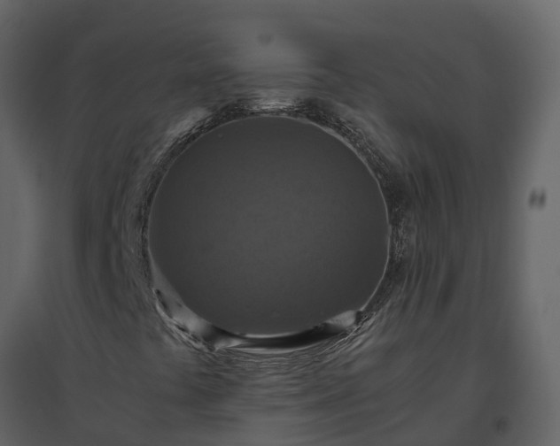 X0000096641441200802121059