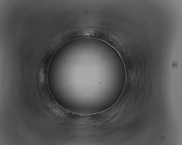 X0000096641442200802121059
