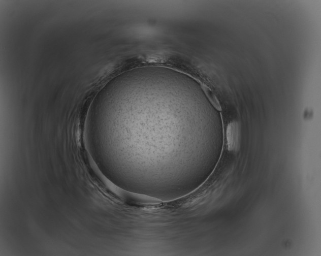 X0000096641443200802121059
