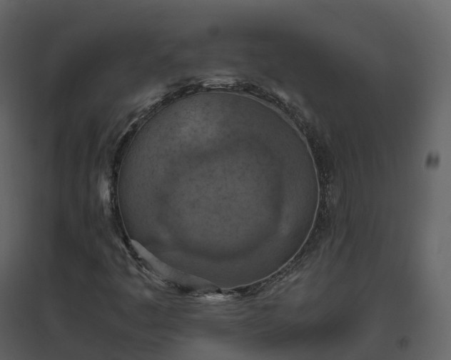X0000096641445200802121059