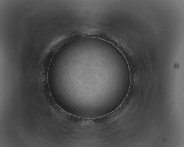 X0000096641447200802121059
