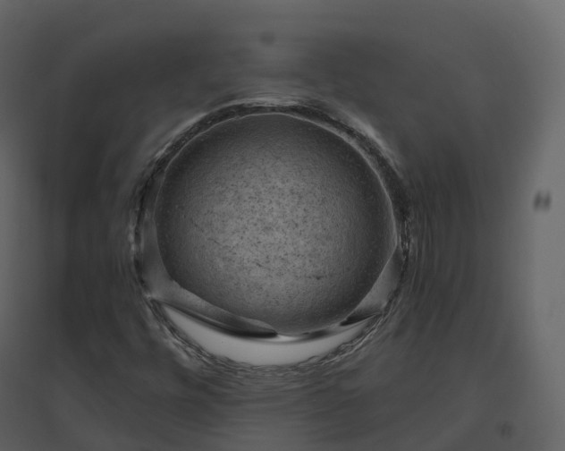 X0000096641448200802121059