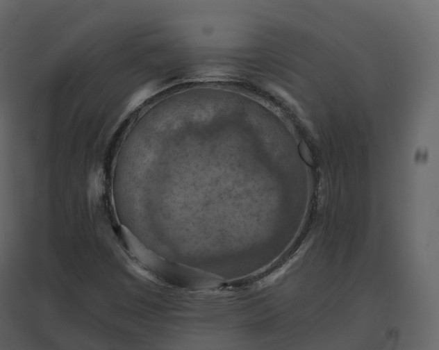 X0000096641449200802121059