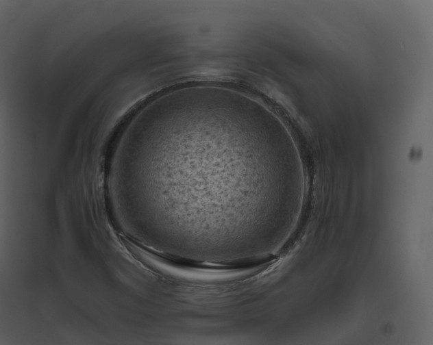 X0000096641450200802121059