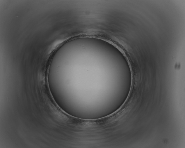 X0000096641451200802121059