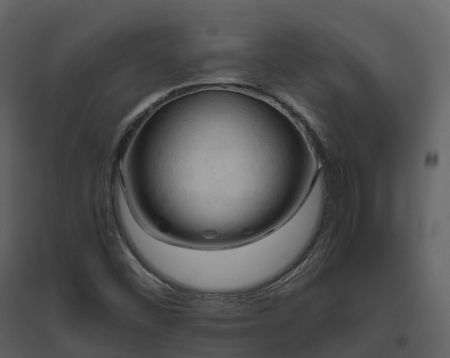 X0000096641452200802121059