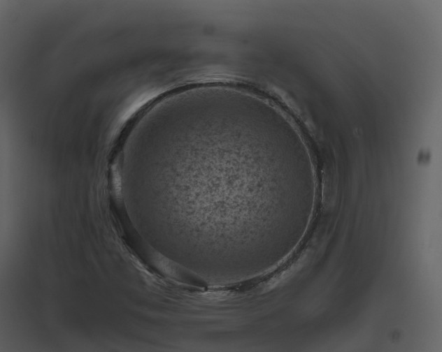 X0000096641453200802121059