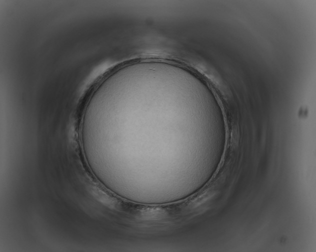 X0000096641454200802121059