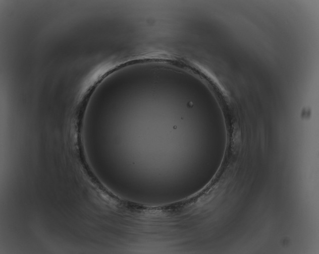 X0000096641455200802121059