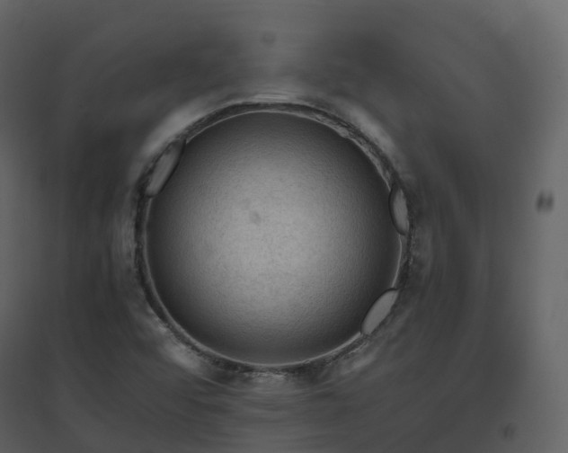 X0000096641456200802121059